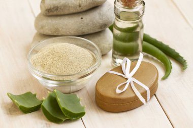Aloe vera ve uçucu yağ beyaz zemin üzerine cam kase kozmetik çamur maskesi hazırlanıyor. Kozmetik çamur toz el ile sabun, yüz kil tozu spa ürünleri ile tabloda yapılır. Ev ya da salon tedavisi için doğal kozmetik
