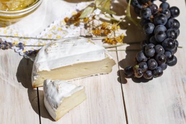 yuvarlak parça brie peynir, siyah üzüm ve lavanta ahşap beyaz bir arka plan, üst görünümü. Camembert peyniri. Yakından kapatın. Taze Brie peyniri ve bir dilim.