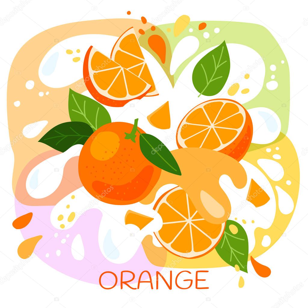 Vector illustration of an organic orange milkshake or fruit drink. ripe orange fruits with splash of milk and bright fresh orange juice background. eco concept for a natural mango smoothie label