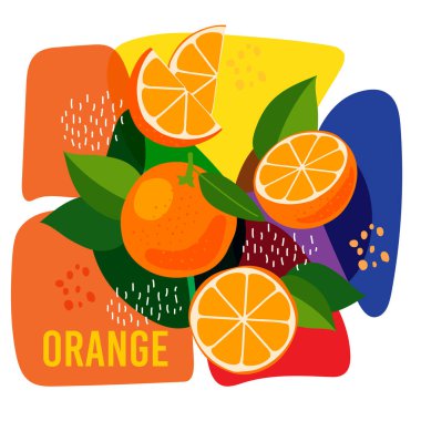 Soyut arka planda olgun portakal meyvelerinin vektör çizimi. Doğal portakal meyvesi etiketi için eko kavramı