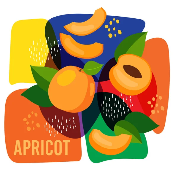 抽象的な背景に熟したアプリコットの果実のベクトル図 自然アプリコットフルーツラベルのエココンセプト — ストックベクタ