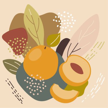 Soyut pastel renkler meyve elementi memphis tarzı. Organik gıda ambalajı, doğal kozmetik ürünleri, vejetaryen ürünler için retro soyut arka planda kayısı çizimi. Kayısı etiketi