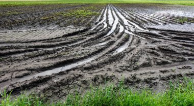 Sular altında patates alan. Yağmur su altında sonra tarım zemin.