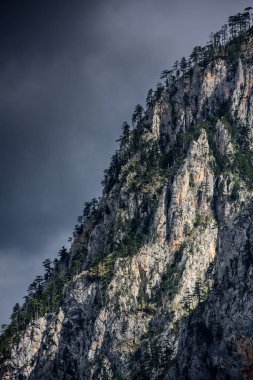 Uçurumlar, kayalık yamaçlar dağ silsilesi ağaçları ile taşkın.
