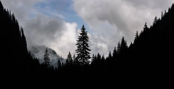 High Mountain Landscape Whit Trees Silhouette Southern Carpathians Romania Foggy — Stock Photo, Image