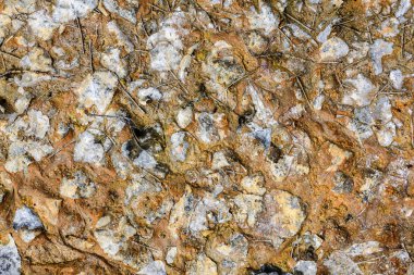 Vintage doku arka plan. Eski düşmüş yaprakları doku arka plan için.