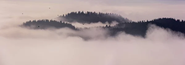 Japanse Stijl Landschap Bergrand Met Wolken Die Door Pijnbomen Stromen — Stockfoto