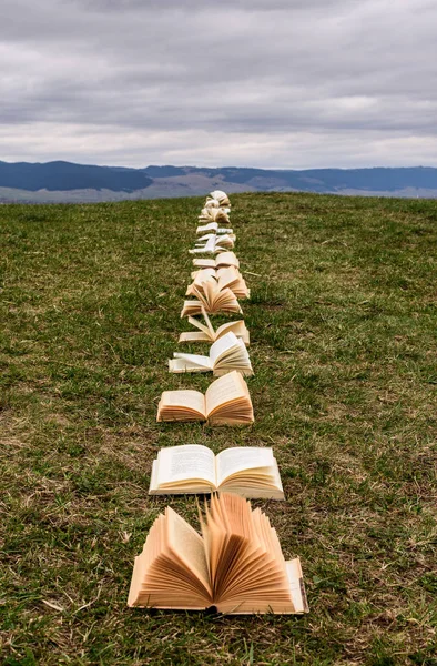Eğitim konsepti. Geleceğin tek yolu eduvation. Kitap, güvenli eğitimin yolu. Öğrenmeye devam edin.