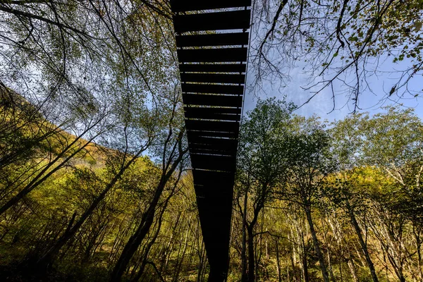 Hanging bridge. Rope bridge on the river in autumn forest, from below.