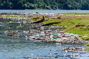 Romanya 'nın Izvor Muntelui Gölü' nde atık plastik çöplerle su kirliliği.
