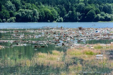 Romanya 'nın Izvor Muntelui Gölü' nde atık plastik çöplerle su kirliliği.