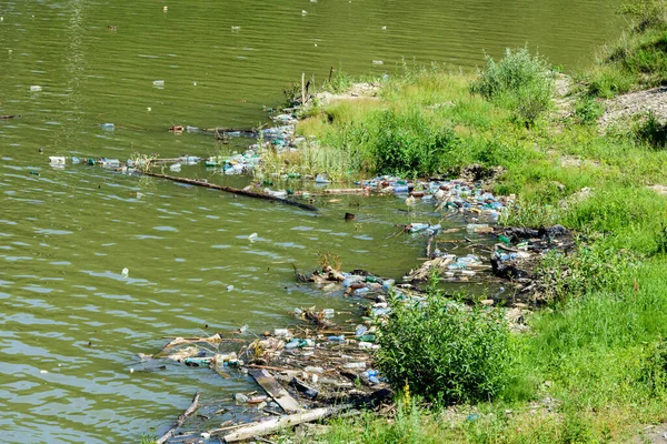 Poluição Água Com Resíduos Plástico Lixo Lago Izvor Muntelui Roménia Imagens Royalty-Free