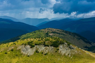 Dağ çayırında koyun sürüsü. Romanya 'nın güneyindeki Parang Dağı. Transalpina karayolu manzarası, Karpat Dağları, Romanya.