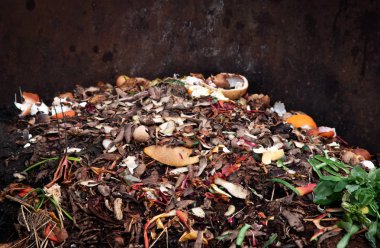 sebze meyve kompost yığını. Kavram organik atık, temiz çevre