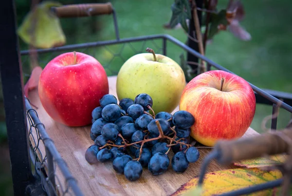 Cosecha de otoño. Manzana, uvas y hojas amarillas en la bandeja de madera, al aire libre — Foto de Stock