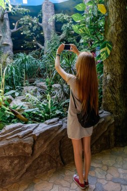 Arkadan görünüşü bir kadın ayakta ve Smartphone'da bir fotoğraf yapmak. Bir turistik bir gezi üzerinde.