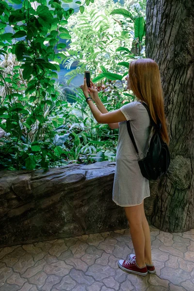 Hermosa Mujer Hace Foto Teléfono Selva Tropical Turista Una Excursión — Foto de Stock
