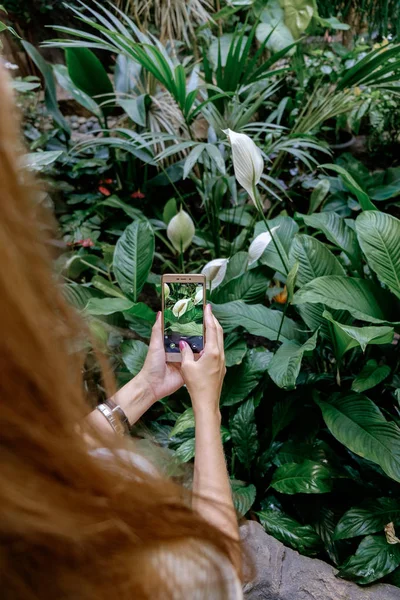 Hipster Chica Pie Parque Tropical Hacer Una Foto Teléfono Inteligente — Foto de Stock