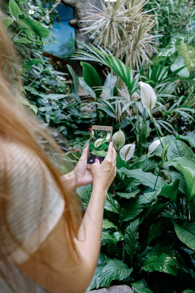 Hipster Chica Pie Parque Tropical Hacer Una Foto Teléfono Inteligente — Foto de Stock