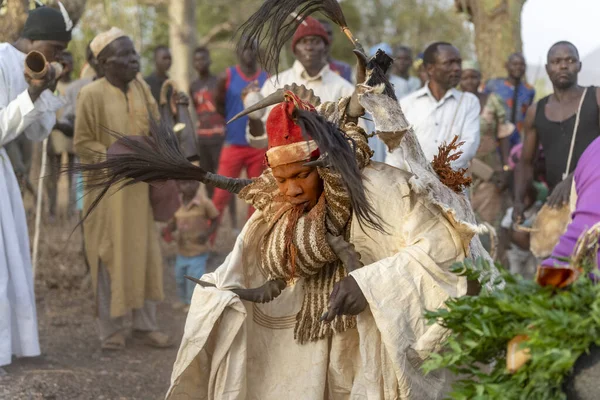 Dowayo erkeği geleneksel bir mahkeme sırasında kutsal bir dans eder. Atalarının ruhlarını somutlaştırır ve adaletin simgesi olur..