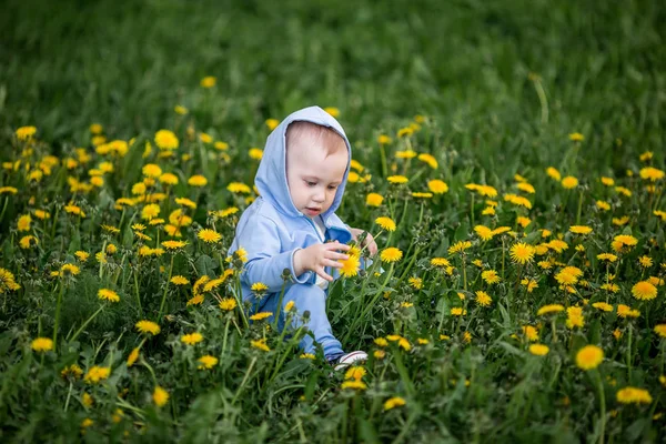 Bebê Caucasiano Menino Sentado Amarelo Dandelion Flores Prado — Fotografia de Stock