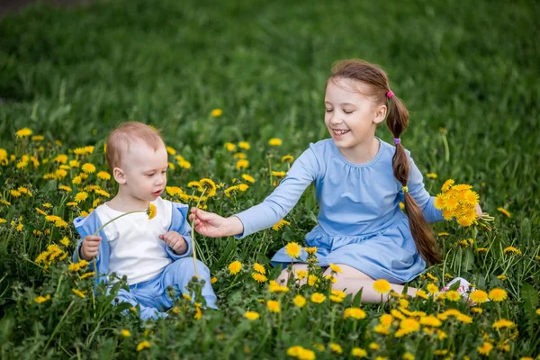 Little Caucasian Boy Girl Sitting Yellow Dandelion Flowers Meadow Brother — Stock Photo, Image