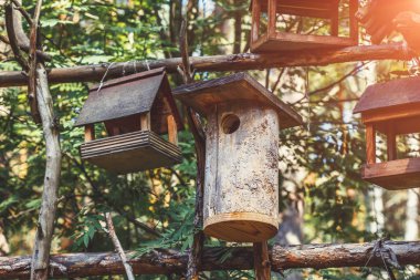 Ahşap kuş evleri, orman, closeup ağacında kutusunda iç içe geçirme