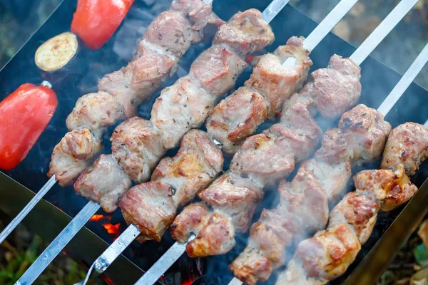 Barbecue Skewers Meat Brazier Grill Pork Shish Kebab — Stock Photo, Image