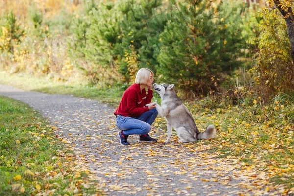 Belle Fille Caucasienne Joue Avec Chien Husky Dans Forêt Automne — Photo