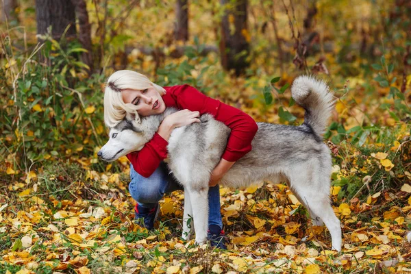 美丽的白种女孩在秋天森林或公园与沙哑的狗玩 — 图库照片
