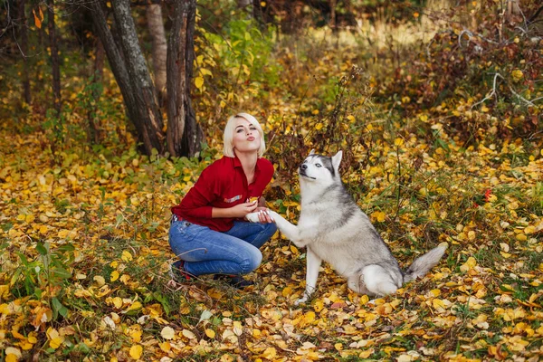 Belle Fille Caucasienne Joue Avec Chien Husky Dans Forêt Automne — Photo