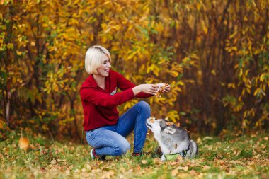 Güzel beyaz kız sonbahar orman veya park husky köpek ile çalış