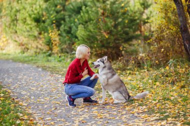 Güzel beyaz kız sonbahar orman veya park husky köpek ile çalış