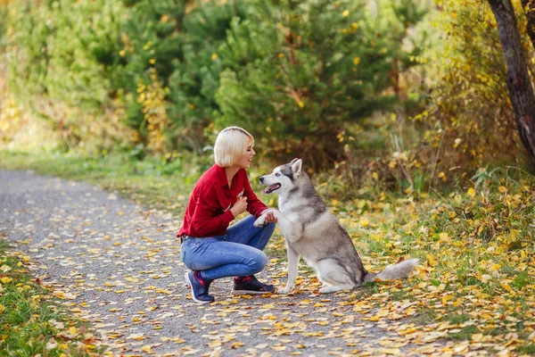 Belle Fille Caucasienne Joue Avec Chien Husky Dans Forêt Automne — Photo