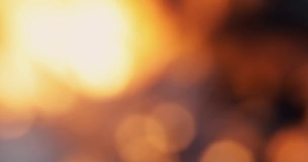 Blurred Firewood Burning Brazier Bokeh Glowing Flame Closeup — Stock Video