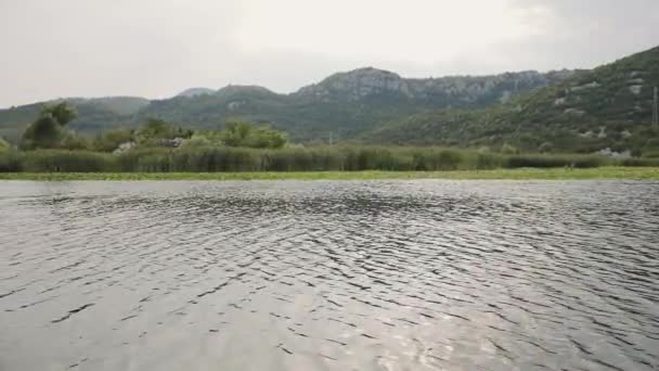 Karadağ Daki Skadar Gölü Nün Doğa Manzaraları Gemiden Alınmıştır Yeşil — Stok video