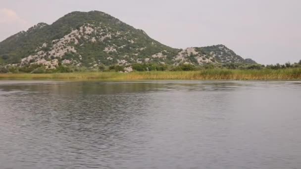 Vista Natureza Lago Skadar Montenegro Tirada Navio Panorama Montanhas Verdes — Vídeo de Stock