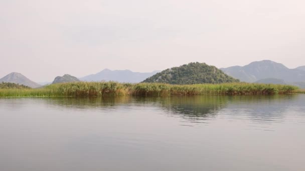 Karadağ Daki Skadar Gölü Nün Doğa Manzaraları Gemiden Alınmıştır Yeşil — Stok video