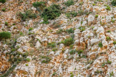 Bitkiler ve çalılarla dik uçurum, yaşam konsepti.