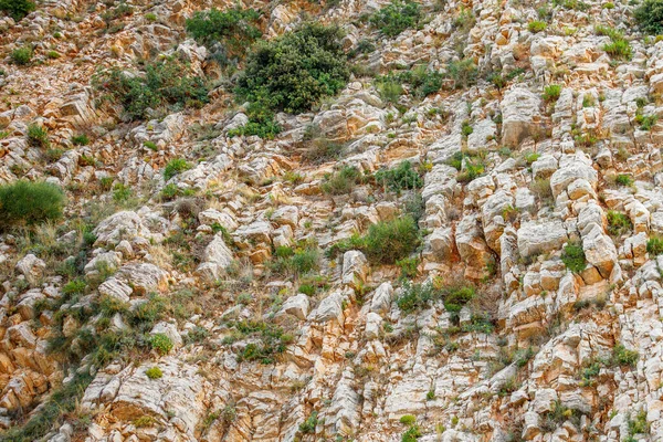 Bitkiler ve çalılarla dik uçurum, yaşam konsepti.