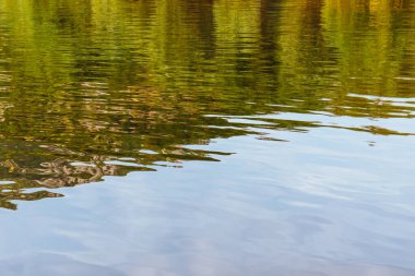 Karadağ 'da Skadar Gölü' nün doğa manzarası