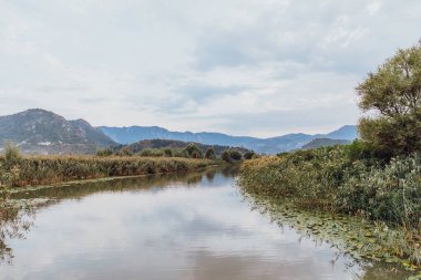 Karadağ 'daki Skadar Gölü Ulusal Parkı. Maudların görünümleri