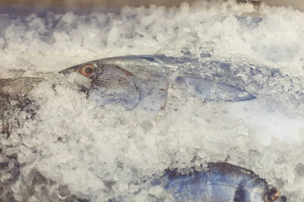 Fresh raw fish in fridge of supermarket or restaurant