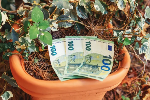 Billetes de 100 centésimos euros en maceta sobre fondo verde — Foto de Stock