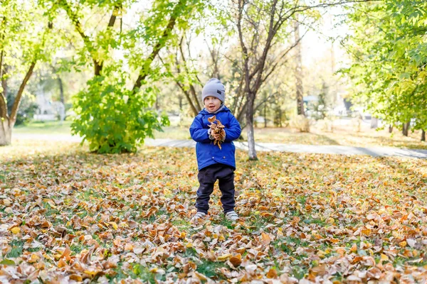 Menino Parque Outono Criança Divertindo Com Folhas Amarelas — Fotografia de Stock