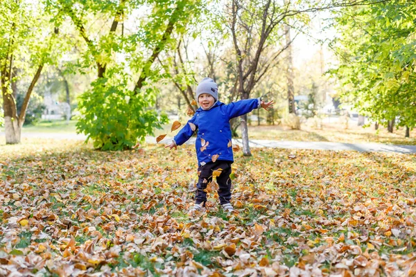 Mały Chłopiec Jesiennym Parku Dzieciak Bawiący Się Żółtymi Liśćmi — Zdjęcie stockowe