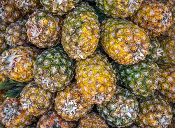 pineapple plantation fruit exotic