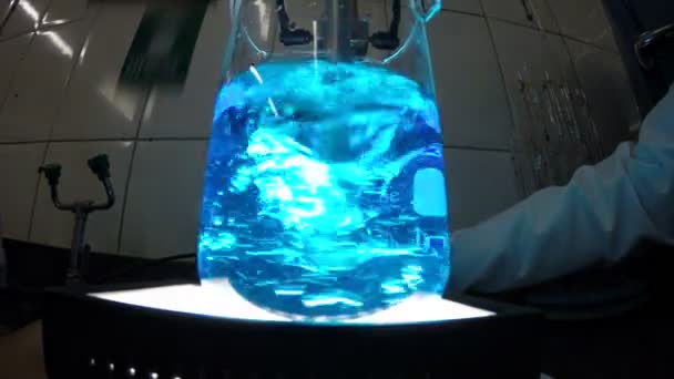 化学烧杯彩色液体科学 — 图库视频影像