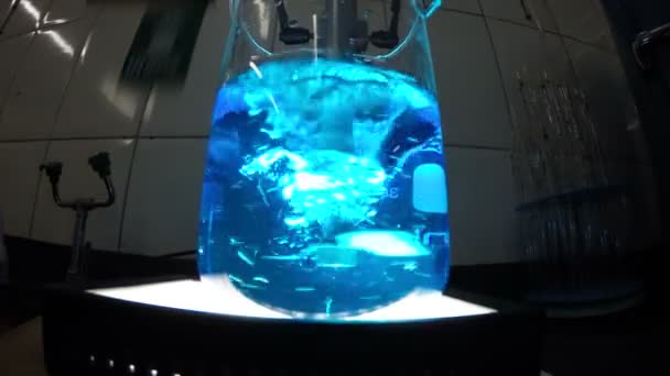 Chemical Beaker Color Liquid Science — Stock Video