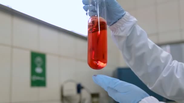Kemiska Bägare Färg Flytande Vetenskap — Stockvideo